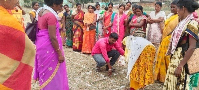 Jharkhand High Impact Mega Watershed Project (Jiwi Daah Hasa)