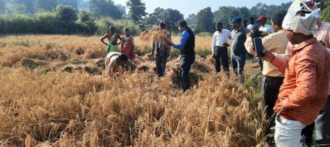 Solar Lift Irrigation and Plantation